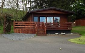 Birch Lodge 22 With Hot Tub Newton Stewart